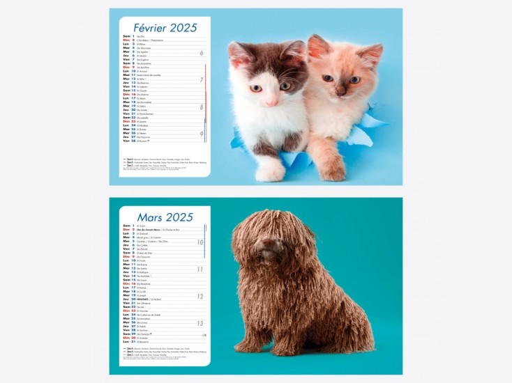 Calendrier Chiens-Chats