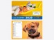 Calendrier Chiens-Chats