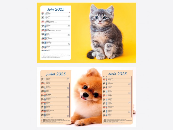 Calendrier Chiens-Chats