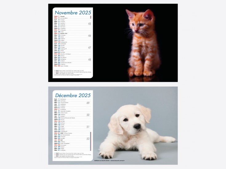 Calendrier Chiens-Chats