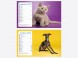 Calendrier Chiens-Chats